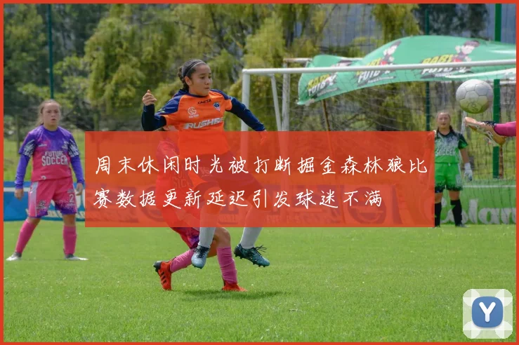 周末休闲时光被打断掘金森林狼比赛数据更新延迟引发球迷不满