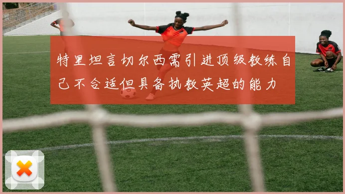 特里坦言切尔西需引进顶级教练自己不合适但具备执教英超的能力